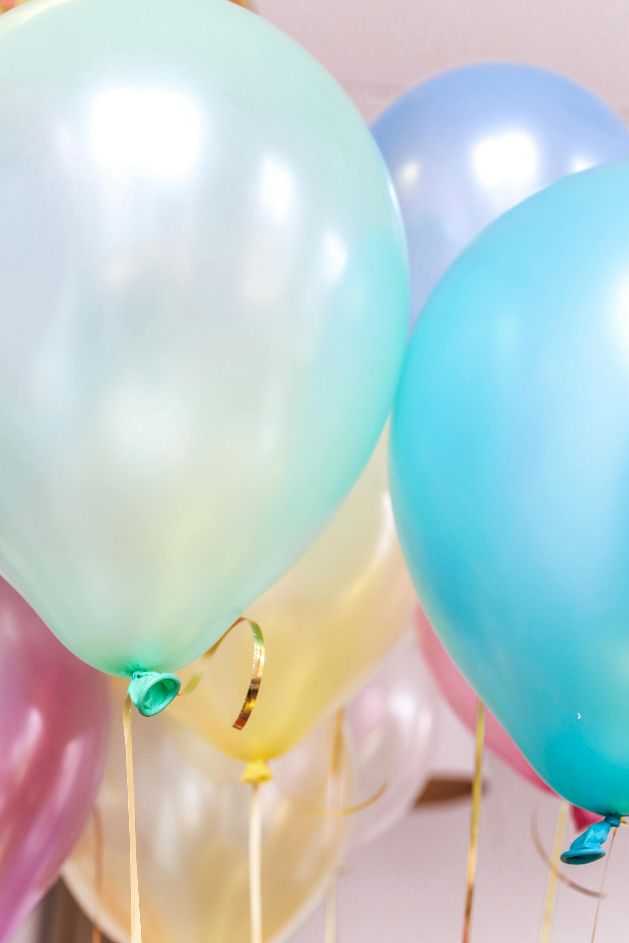 Jay's Birthday Collection - Essentials by Jay
